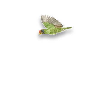 GIF passarinho